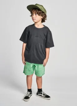 ACID RAIN SHORTS