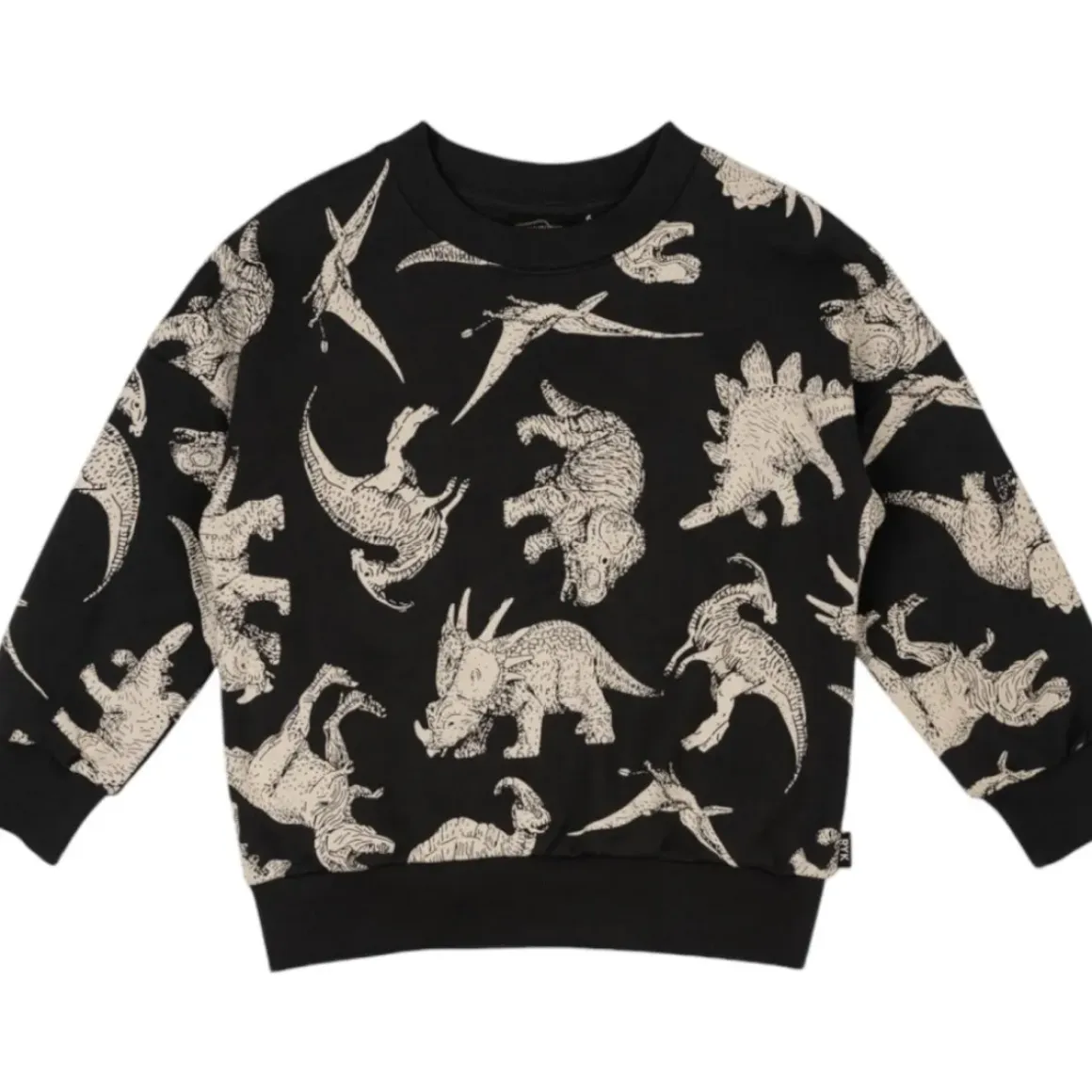 DINOS SWEATSHIRT