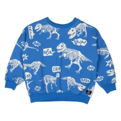 HELLO DINO SWEATSHIRT