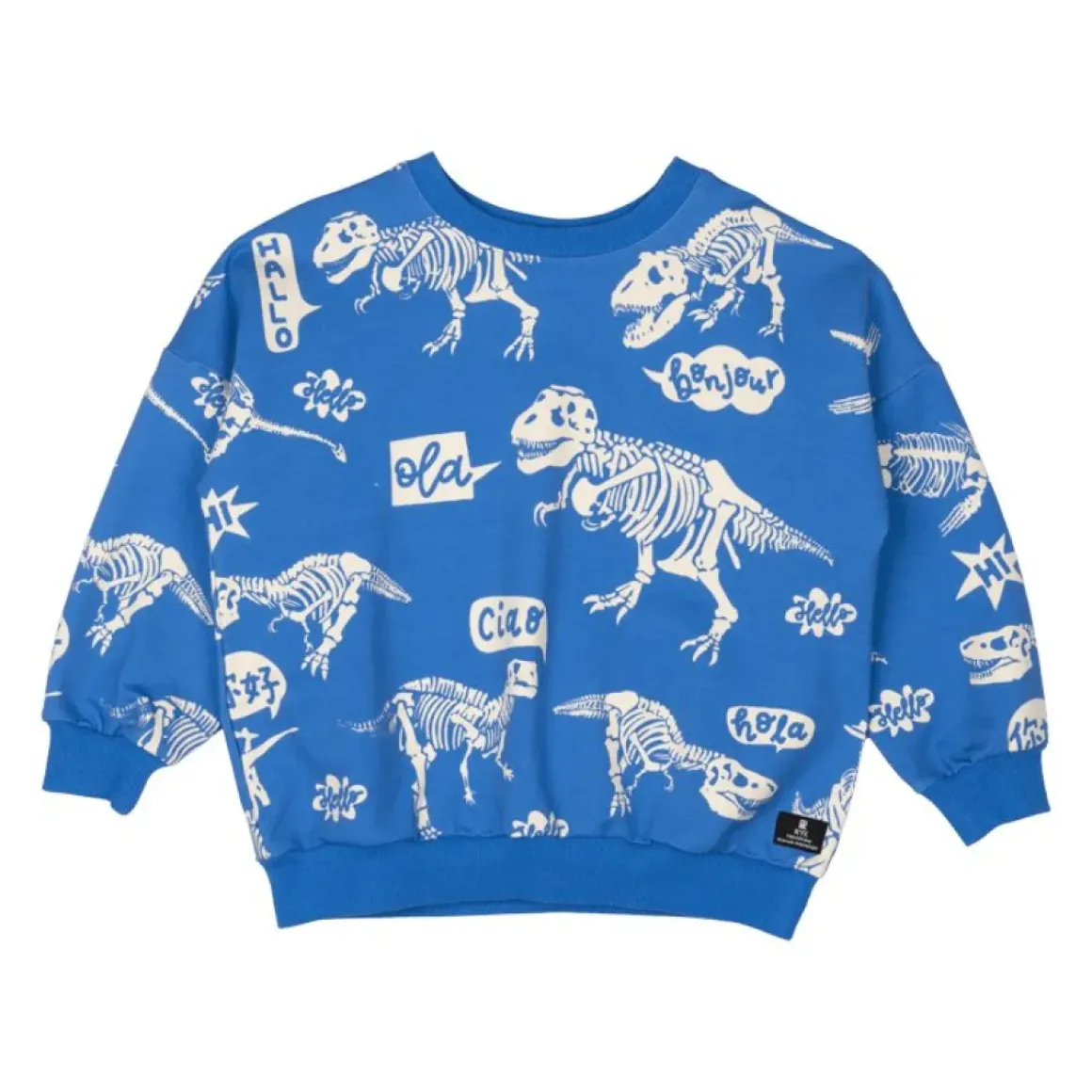 HELLO DINO SWEATSHIRT