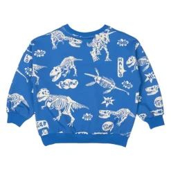 HELLO DINO SWEATSHIRT
