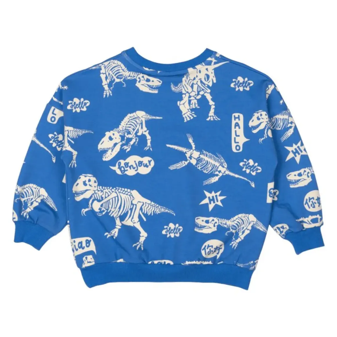 HELLO DINO SWEATSHIRT