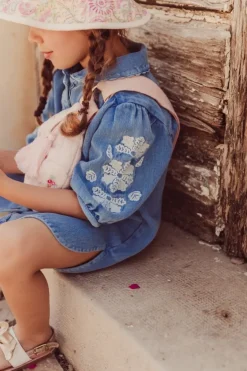 INALA EMBROIDERED DENIM DRESS