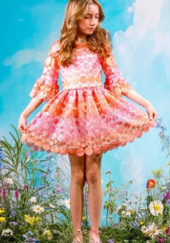 LOUISE EMBROIDERED DRESS