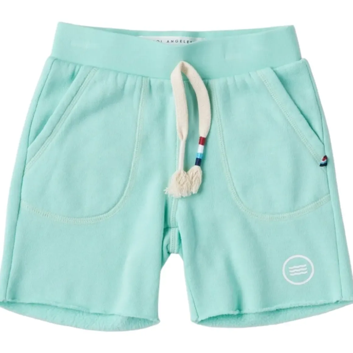 PALM WAVES SHORTS