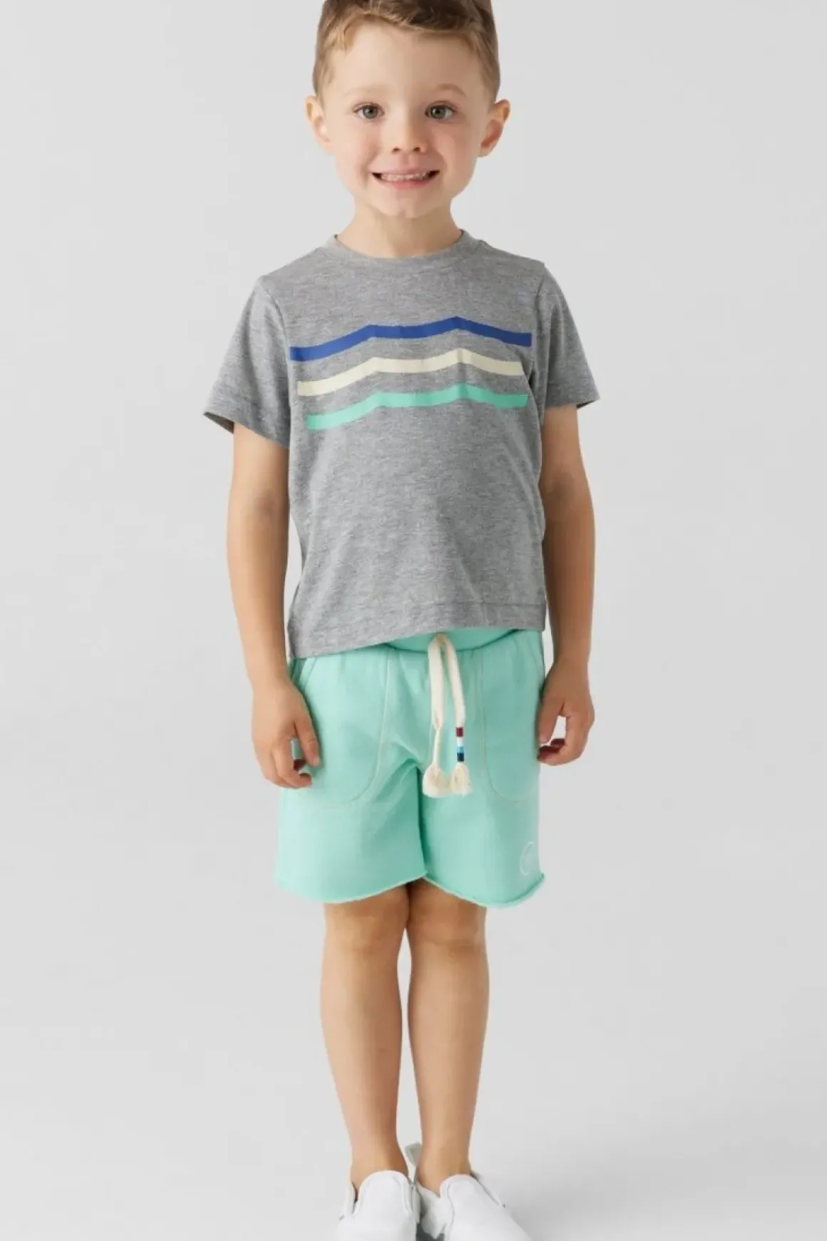 PALM WAVES SHORTS