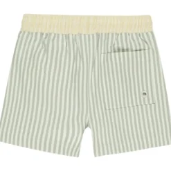 STRIPE SWIM TRUNKS